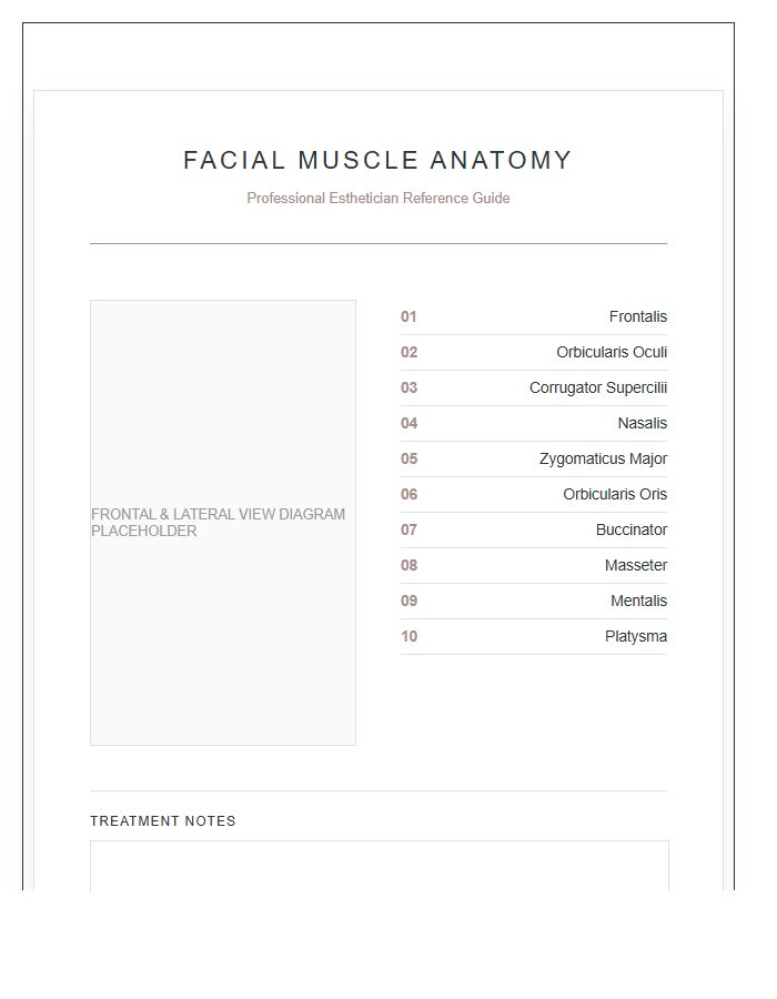 Esthetician Facial Muscle Anatomy Printable Chart
