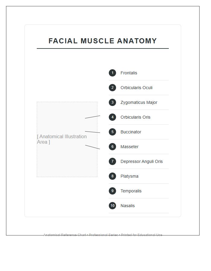 Labeled Diagram Facial Muscle Anatomy Printable Chart