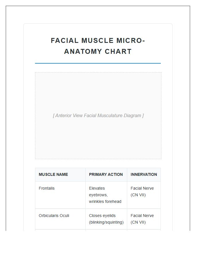 Micro Anatomy Facial Muscle Printable Chart