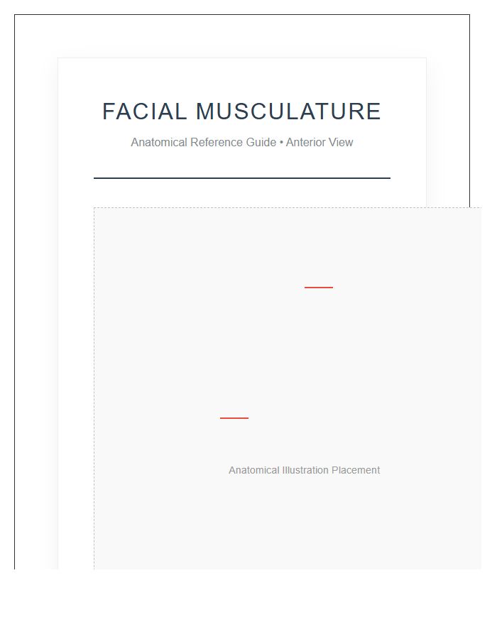 Professional Human Facial Muscle Anatomy Printable Chart