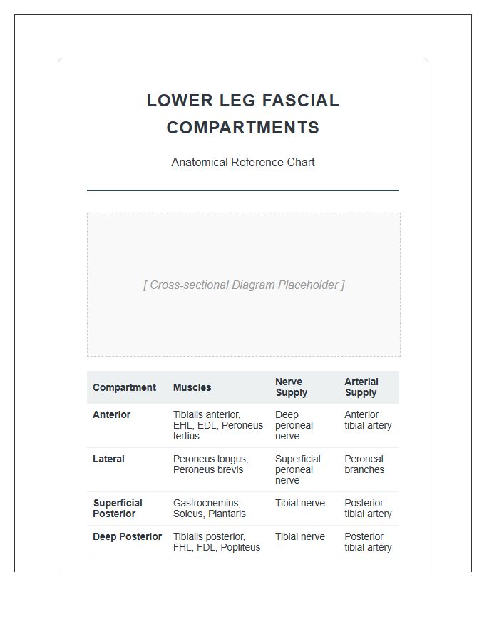 Lower Leg Fascial Compartments Anatomy Printable Chart