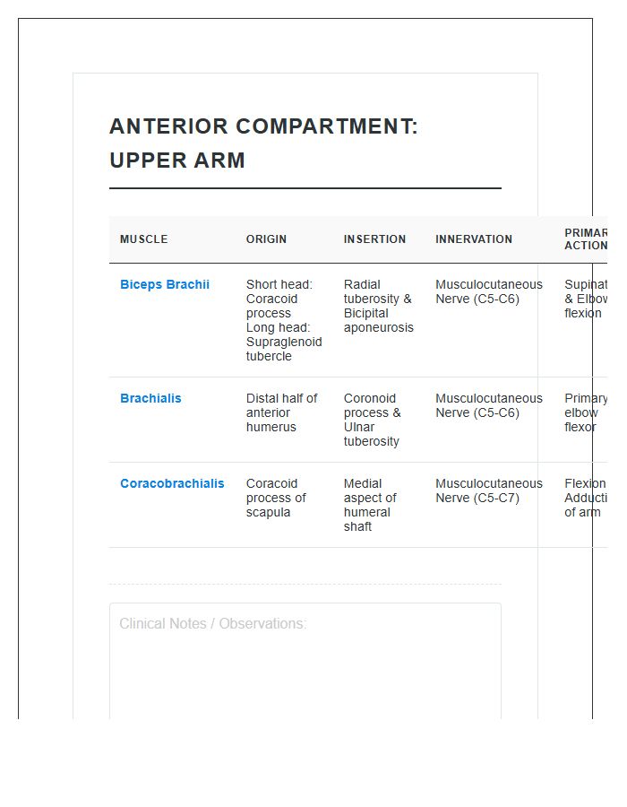 Anterior Compartment Upper Arm Muscle Printable Chart