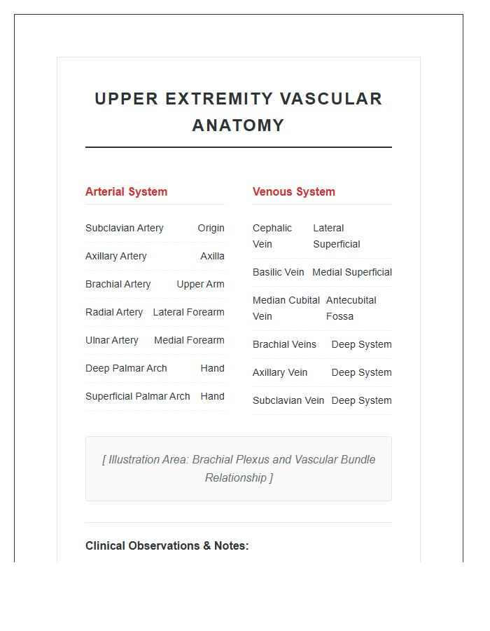 Upper Extremity Vascular Anatomy Printable Chart