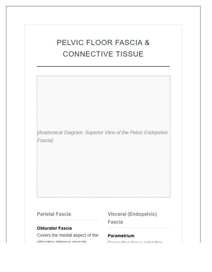 Pelvic Floor Fascia And Connective Tissue Anatomy Printable Chart