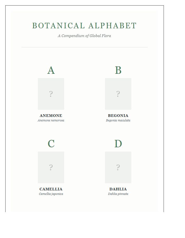 High Resolution Botanical Plant Species Printable Alphabet Chart