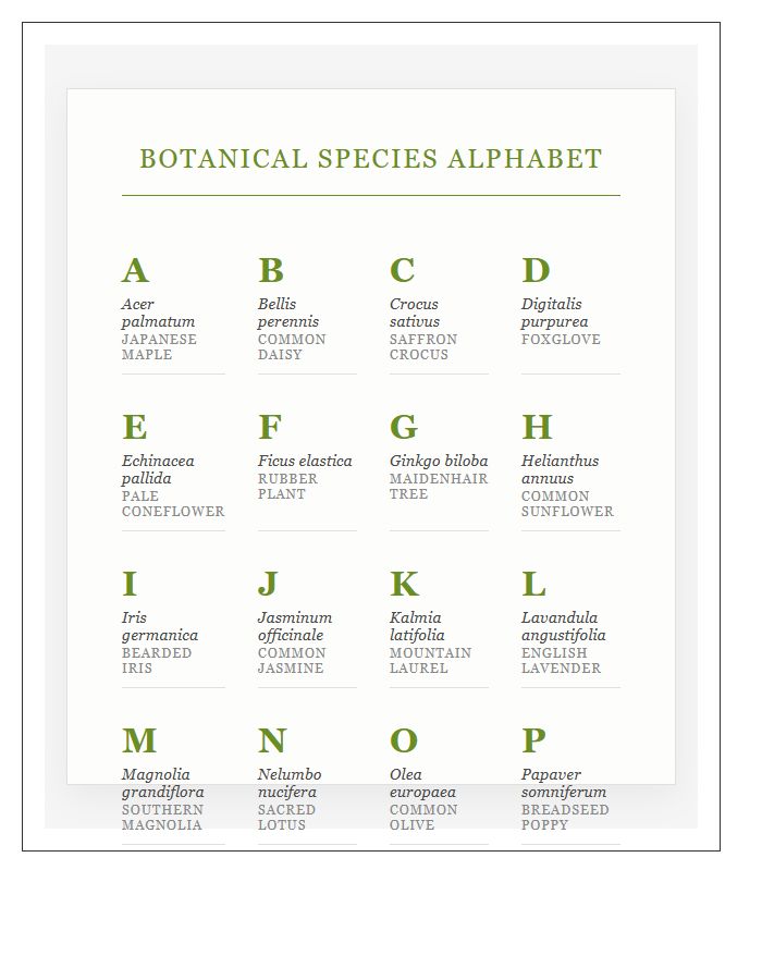 Homeschool Botanical Plant Species Printable Alphabet Chart
